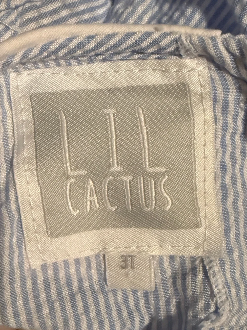 Lil Cactus blue white